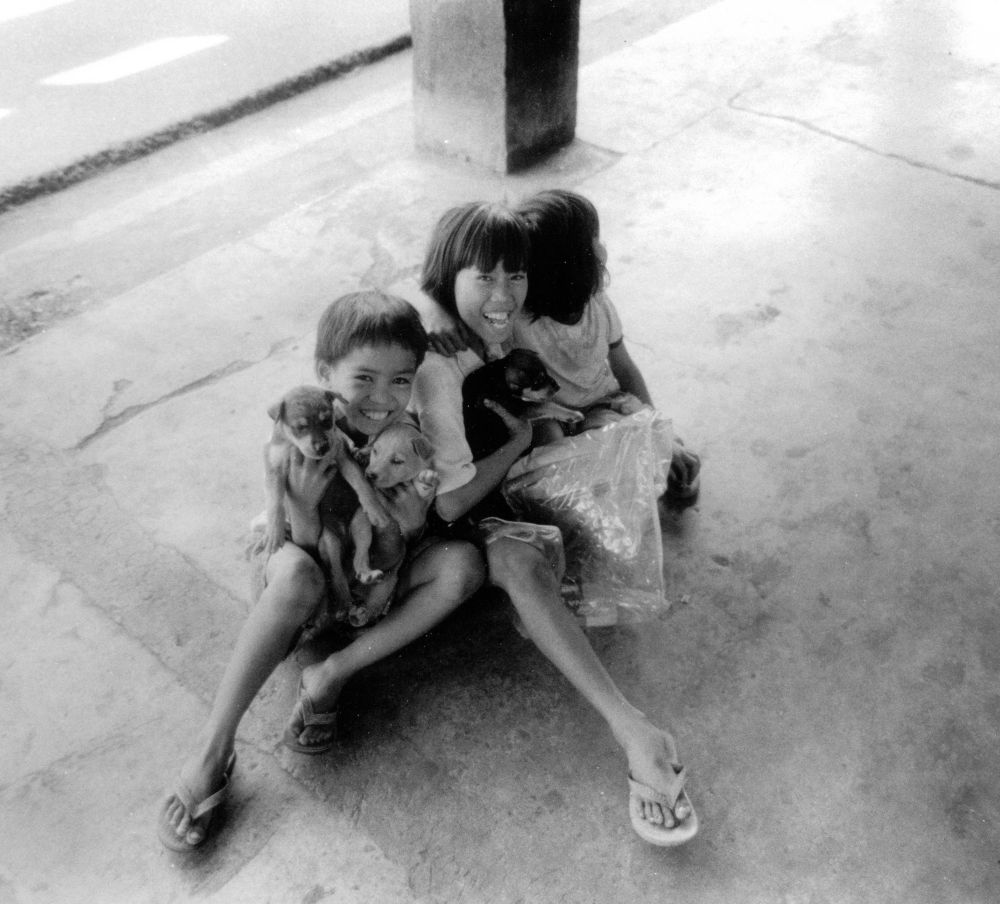 34_children_dogs